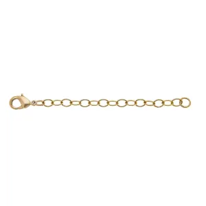 Susan Shaw Necklace Chain Extender (Gold & Silver)
